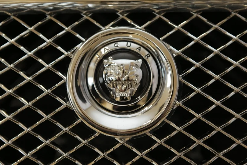 Фуршет на дне открытых дверей для автобрэнда Jaguar в ТТС-Казань, ноябрь 2011